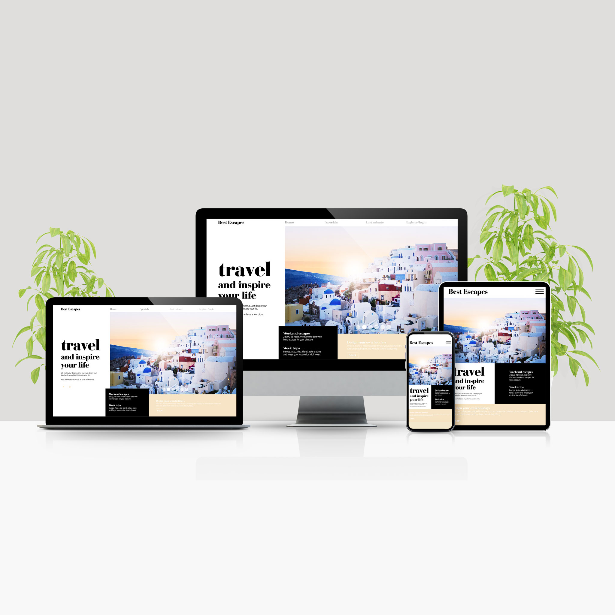 Hema digital Web dizajn